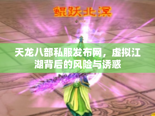 天龙八部私服发布网，虚拟江湖背后的风险与诱惑