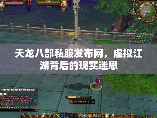 天龙八部私服发布网，虚拟江湖背后的现实迷思