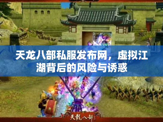 天龙八部私服发布网，虚拟江湖背后的风险与诱惑