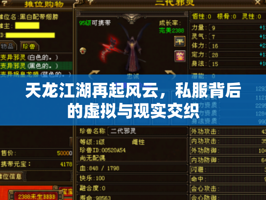 天龙江湖再起风云，私服背后的虚拟与现实交织