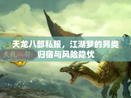 天龙八部私服，江湖梦的另类归宿与风险隐忧