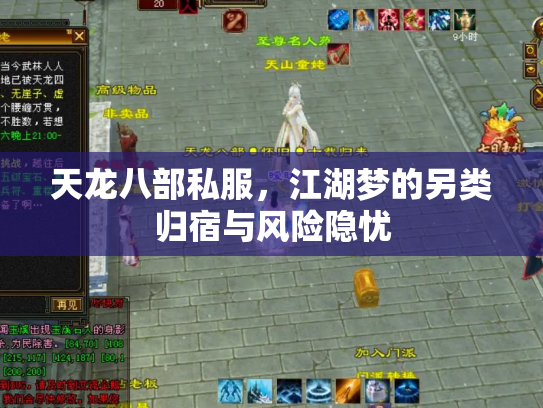 天龙八部私服，江湖梦的另类归宿与风险隐忧