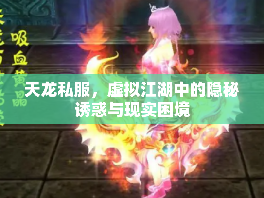 天龙私服，虚拟江湖中的隐秘诱惑与现实困境