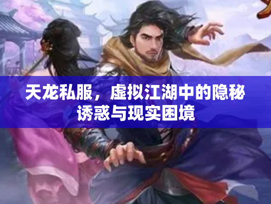 天龙私服，虚拟江湖中的隐秘诱惑与现实困境