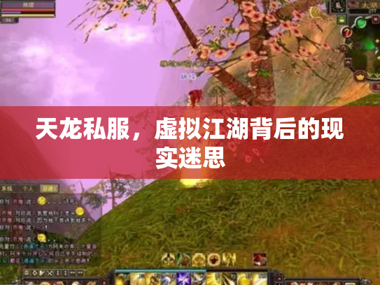 天龙私服，虚拟江湖背后的现实迷思