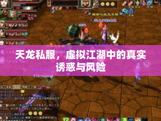 天龙私服，虚拟江湖中的真实诱惑与风险
