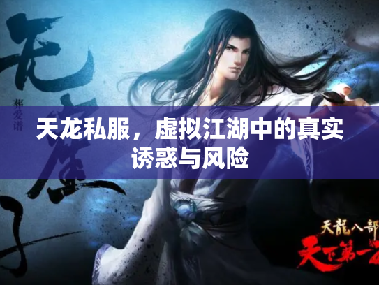 天龙私服，虚拟江湖中的真实诱惑与风险