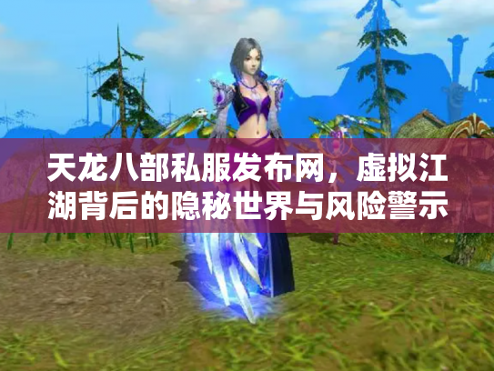 天龙八部私服发布网，虚拟江湖背后的隐秘世界与风险警示