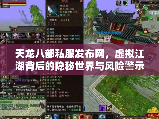 天龙八部私服发布网，虚拟江湖背后的隐秘世界与风险警示