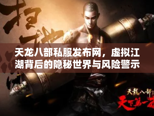 天龙八部私服发布网，虚拟江湖背后的隐秘世界与风险警示