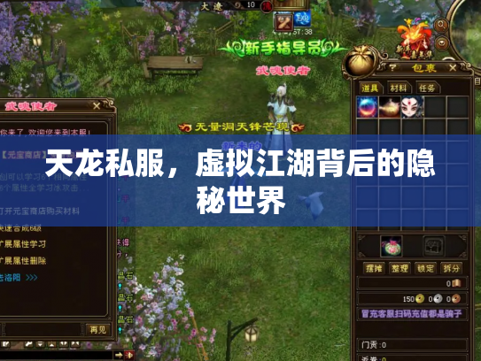 天龙私服，虚拟江湖背后的隐秘世界