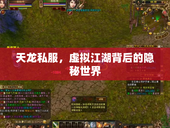天龙私服，虚拟江湖背后的隐秘世界