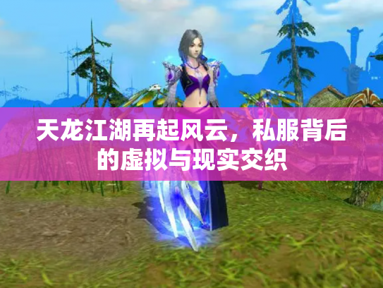 天龙江湖再起风云，私服背后的虚拟与现实交织
