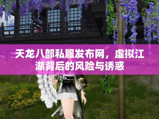 天龙八部私服发布网，虚拟江湖背后的风险与诱惑