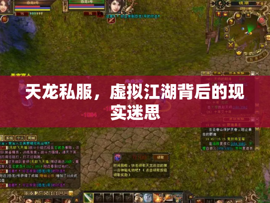 天龙私服，虚拟江湖背后的现实迷思