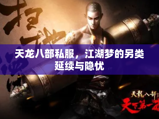 天龙八部私服，江湖梦的另类延续与隐忧