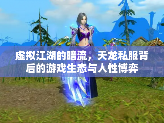 虚拟江湖的暗流，天龙私服背后的游戏生态与人性博弈