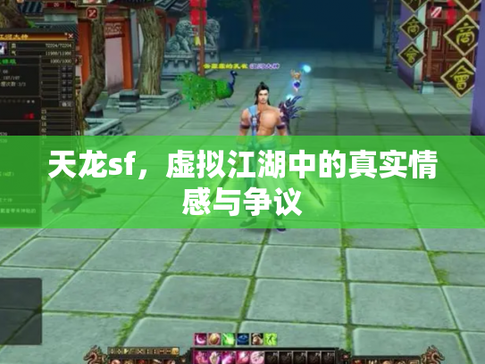 天龙sf，虚拟江湖中的真实情感与争议