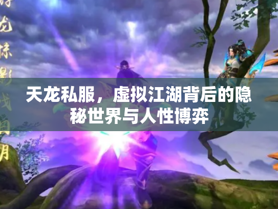 天龙私服，虚拟江湖背后的隐秘世界与人性博弈