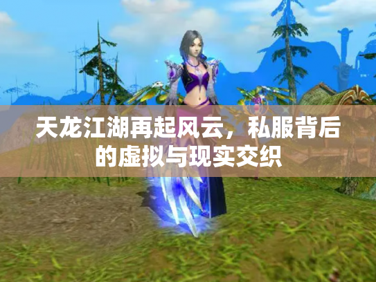 天龙江湖再起风云，私服背后的虚拟与现实交织
