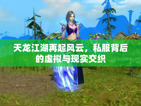 天龙江湖再起风云，私服背后的虚拟与现实交织