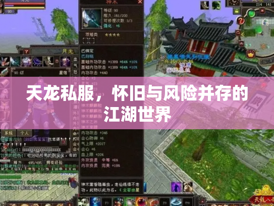 天龙私服，怀旧与风险并存的江湖世界