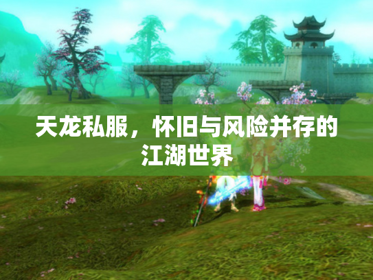 天龙私服，怀旧与风险并存的江湖世界