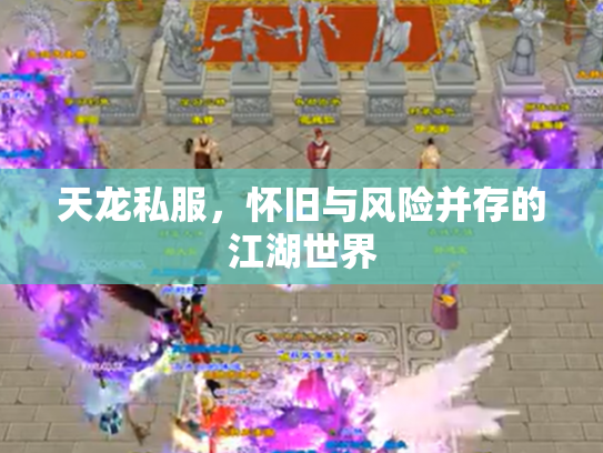 天龙私服，怀旧与风险并存的江湖世界