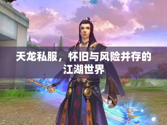 天龙私服，怀旧与风险并存的江湖世界