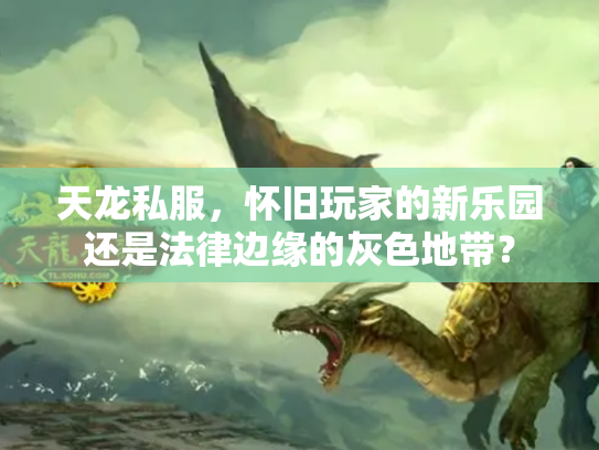 天龙私服，怀旧玩家的新乐园还是法律边缘的灰色地带？