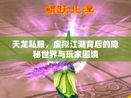 天龙私服，虚拟江湖背后的隐秘世界与玩家困境