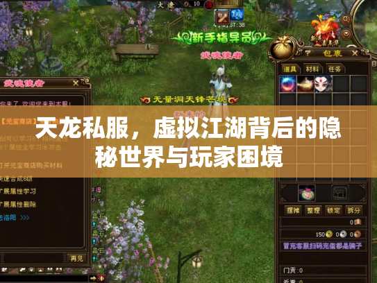 天龙私服，虚拟江湖背后的隐秘世界与玩家困境