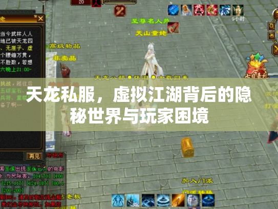 天龙私服，虚拟江湖背后的隐秘世界与玩家困境
