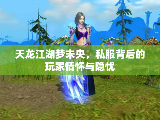 天龙江湖梦未央，私服背后的玩家情怀与隐忧
