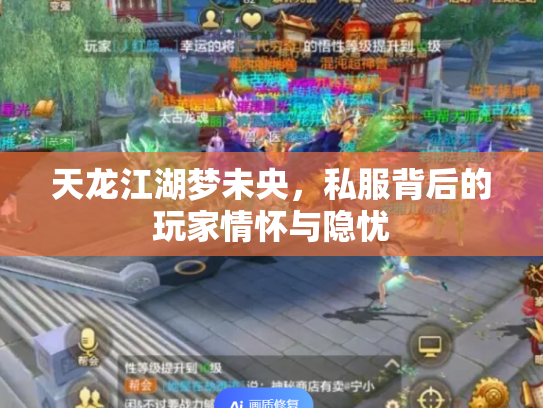 天龙江湖梦未央，私服背后的玩家情怀与隐忧