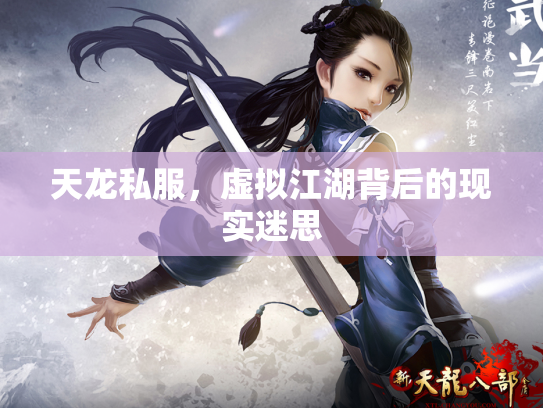 天龙私服，虚拟江湖背后的现实迷思
