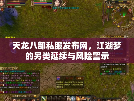 天龙八部私服发布网，江湖梦的另类延续与风险警示
