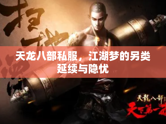 天龙八部私服，江湖梦的另类延续与隐忧