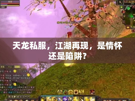 天龙私服，江湖再现，是情怀还是陷阱？