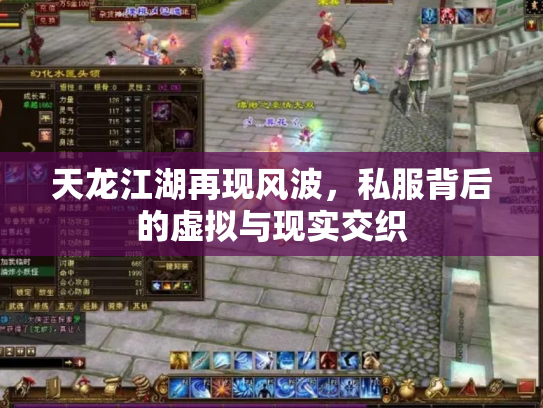 天龙江湖再现风波，私服背后的虚拟与现实交织