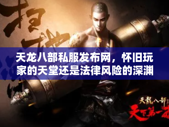 天龙八部私服发布网，怀旧玩家的天堂还是法律风险的深渊？