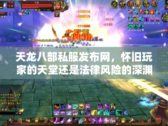 天龙八部私服发布网，怀旧玩家的天堂还是法律风险的深渊？