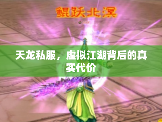 天龙私服，虚拟江湖背后的真实代价