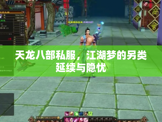 天龙八部私服，江湖梦的另类延续与隐忧