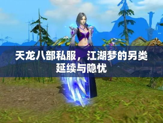 天龙八部私服，江湖梦的另类延续与隐忧
