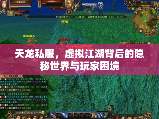 天龙私服，虚拟江湖背后的隐秘世界与玩家困境