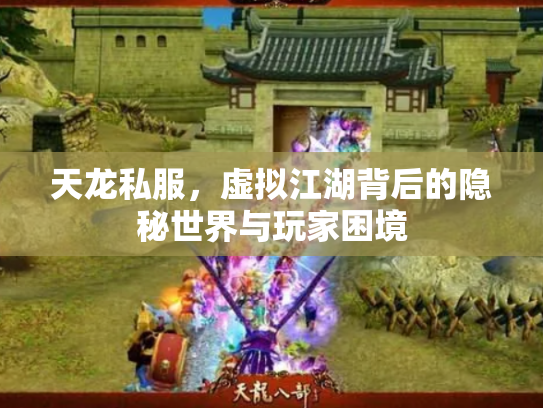 天龙私服，虚拟江湖背后的隐秘世界与玩家困境