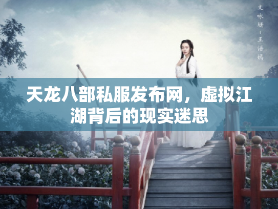 天龙八部私服发布网，虚拟江湖背后的现实迷思