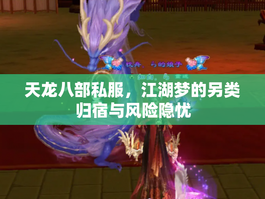 天龙八部私服，江湖梦的另类归宿与风险隐忧