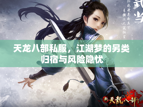天龙八部私服，江湖梦的另类归宿与风险隐忧
